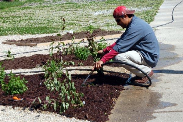 SLIDESHOW:  Students, teachers plant RB community garden