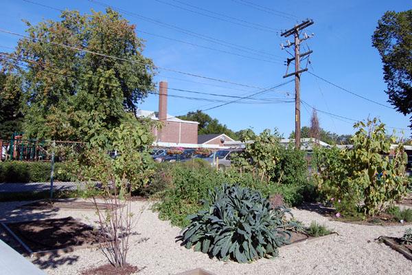 Currently named the Endzone Garden, the Riverside Brookfield High School garden is to be officially named in the days to come with the help of National Honor Society students. 