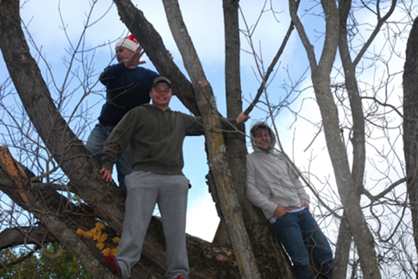 Getting outside, climbing a tree, and having a different perspective can be part of a healthy approach to life.