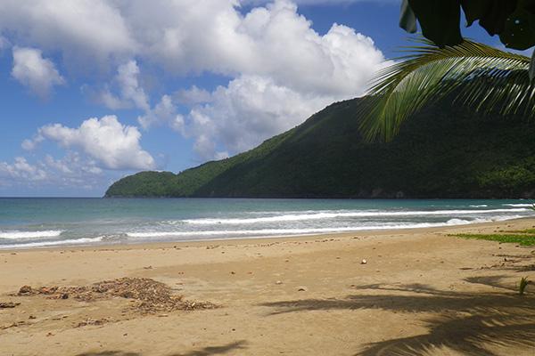 A tranquil beach on the coast of the Dominican Republic.