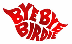 The iconic logo of "Bye, Bye, Birdie."  The musical will mark the second in a row directed by teachers Kathleen Harsy and Tom Dignan.  “This year I'm looking forward to continuing to build on what Ms. Harsy and I hope can be a wonderful, new tradition of theater that we hope to be a part of for a long time,” Dignan said.