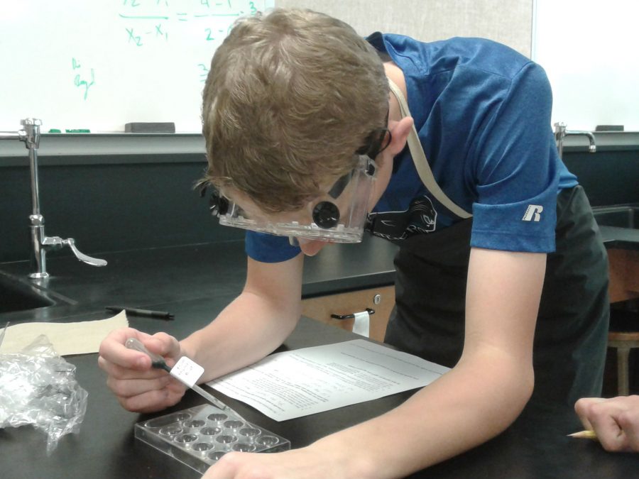 A student working on a lab experiment.