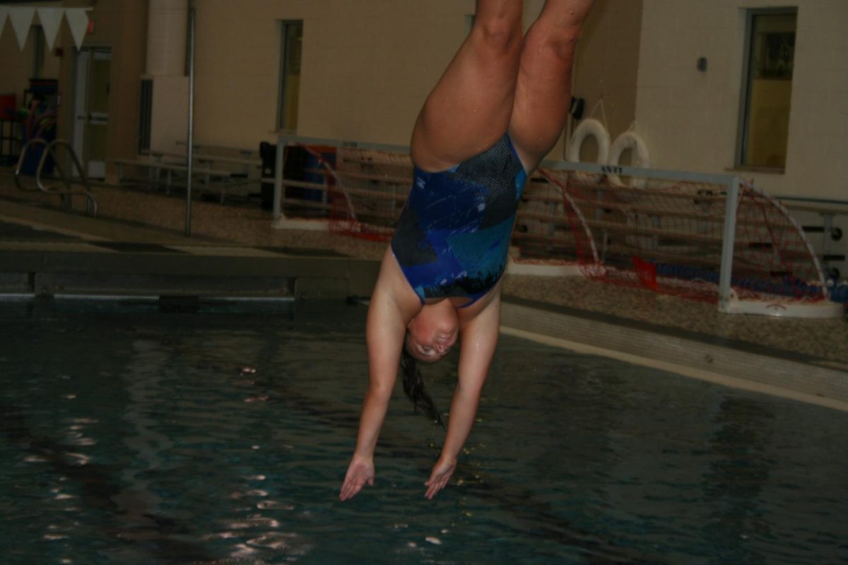 Abby Regan dives into the pool during practice.