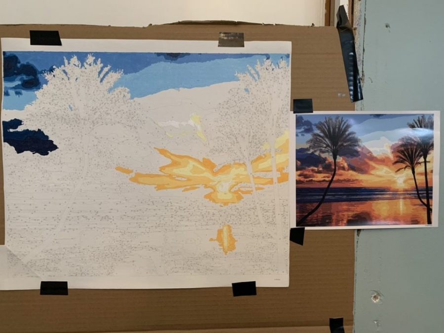 A paint-by-numbers project Hannah Sales has been working on while quarantined.