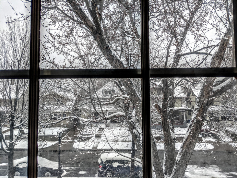 A view from Bella Bricks window in Minnesota during quarantine.