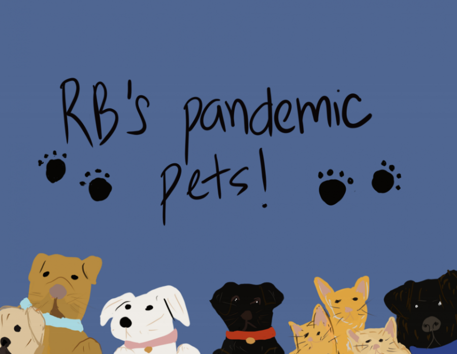 RBs Pandemic Pets